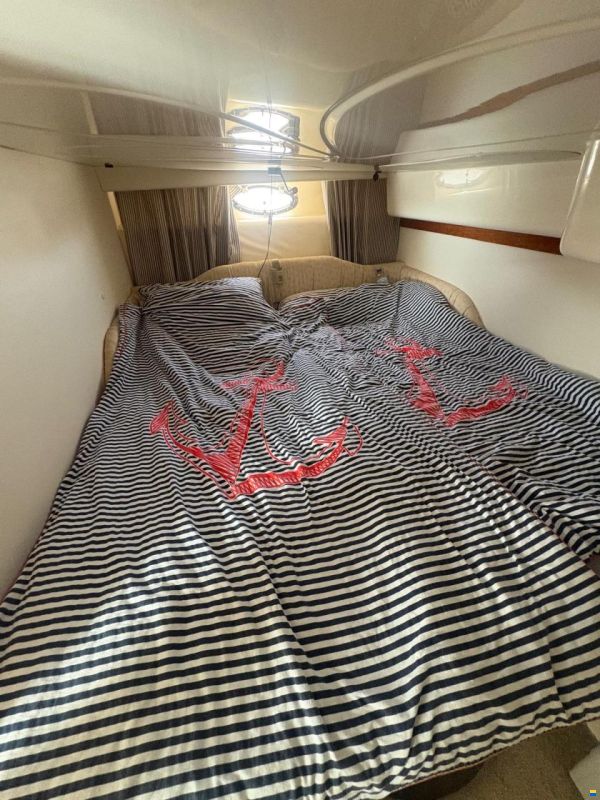 Cranchi Endurans 39