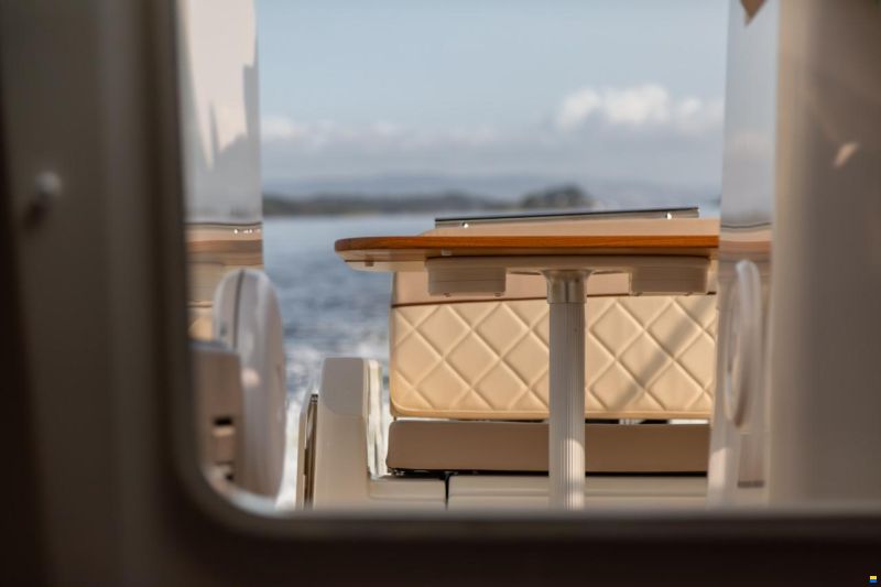 Quicksilver 875 SunDeck