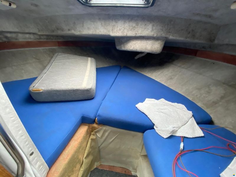 Bayliner 2556 Fly