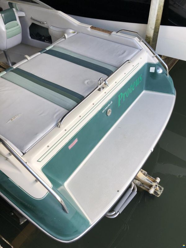Sea Ray Sorento 24