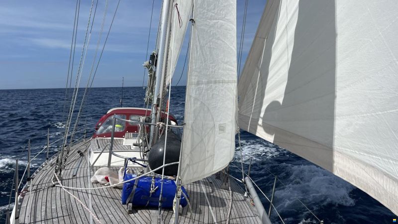 Breehorn 37