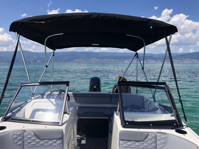 Bayliner M17