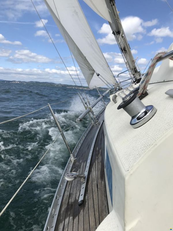 Avance 33 de Luxe