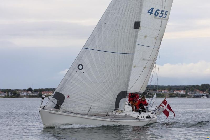 Hanse 301