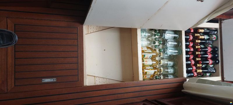 Backdecker