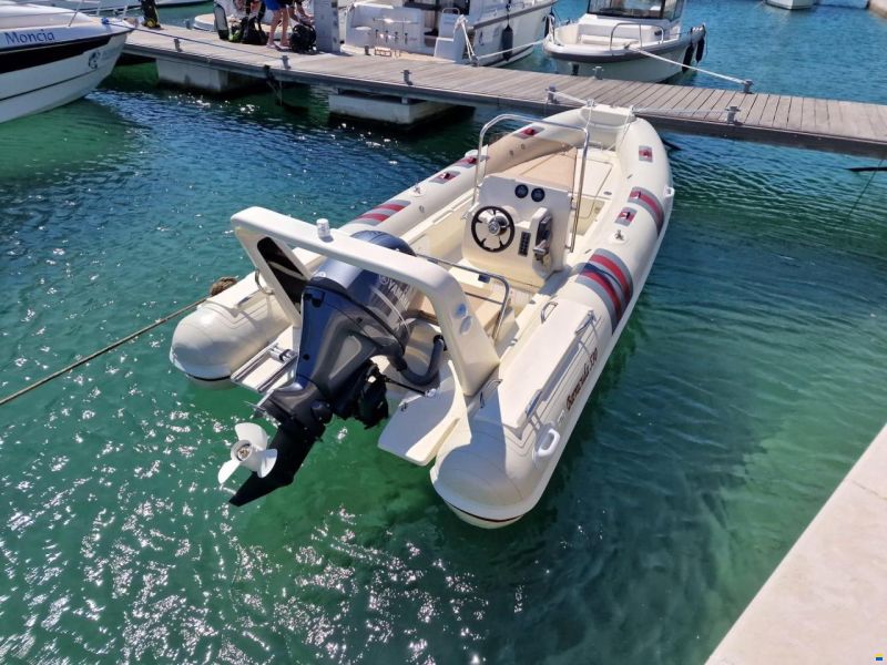 Inflatable Barracuda 530