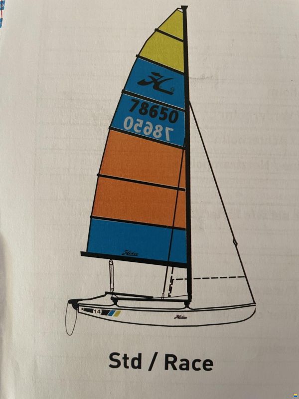 Hobie cat 14 race image