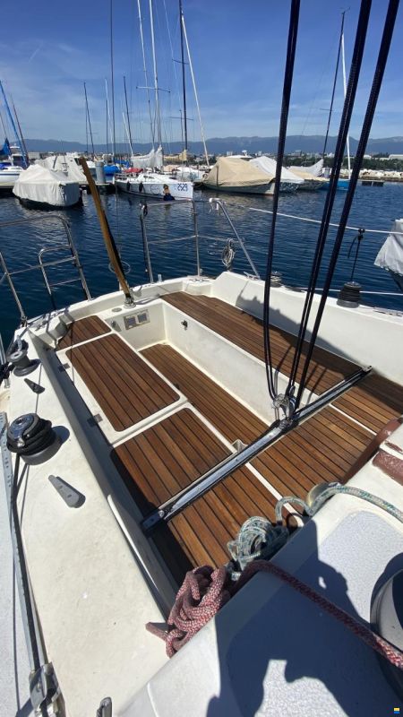 RPD Cividino Ranger 29
