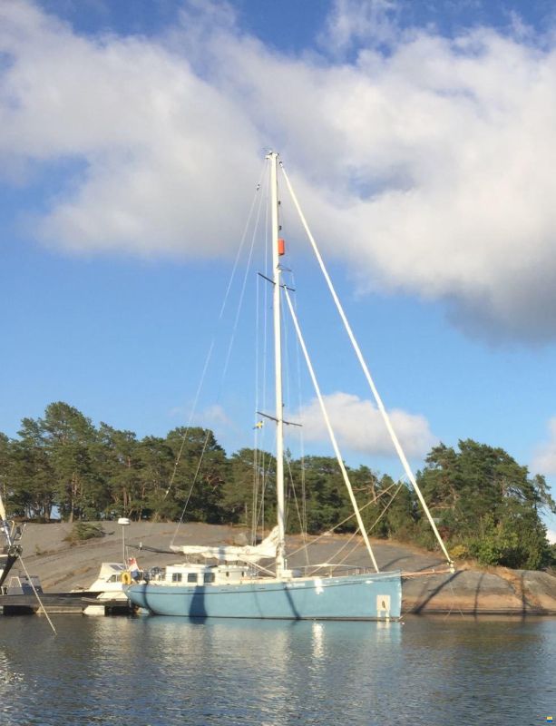Peter van Klink Puffin 42