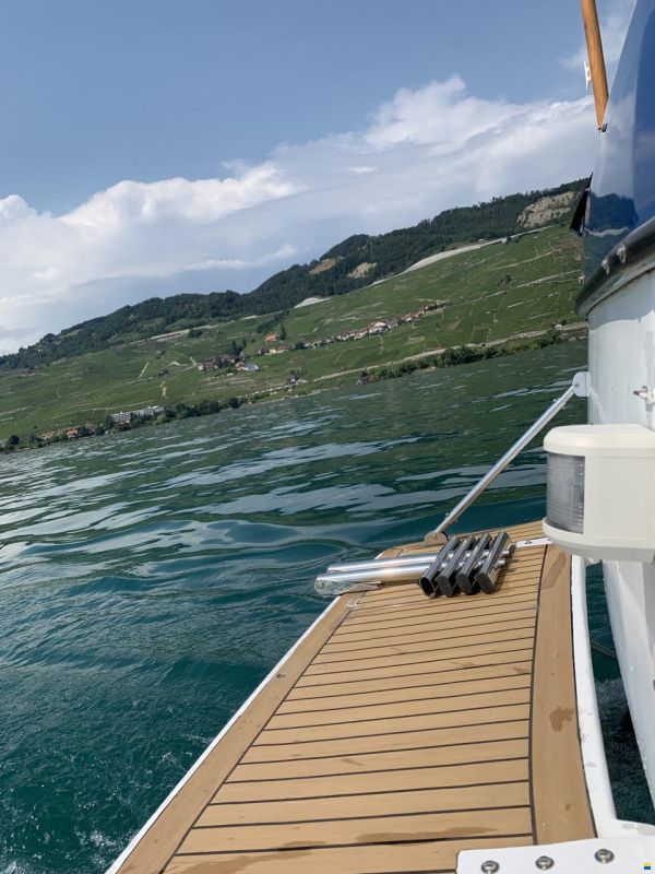 Bayliner Avanti 2950