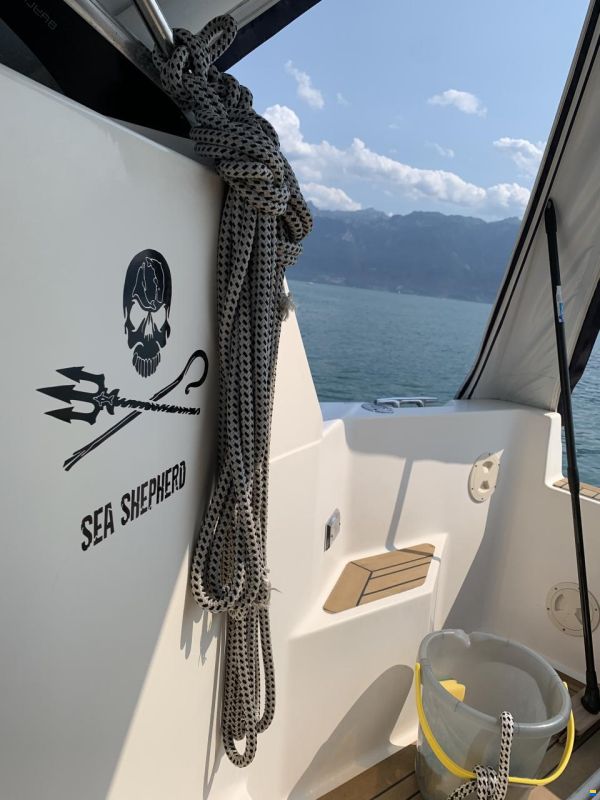 Bayliner Avanti 2950