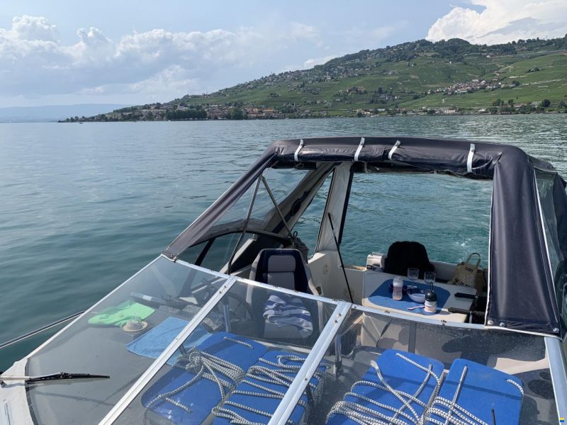 Bayliner Avanti 2950