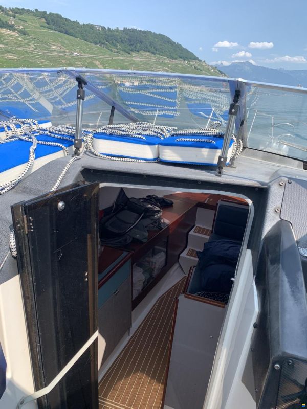 Bayliner Avanti 2950