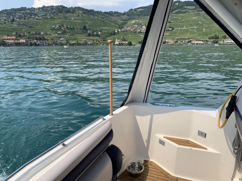 Bayliner Avanti 2950