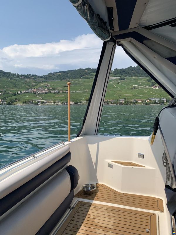 Bayliner Avanti 2950