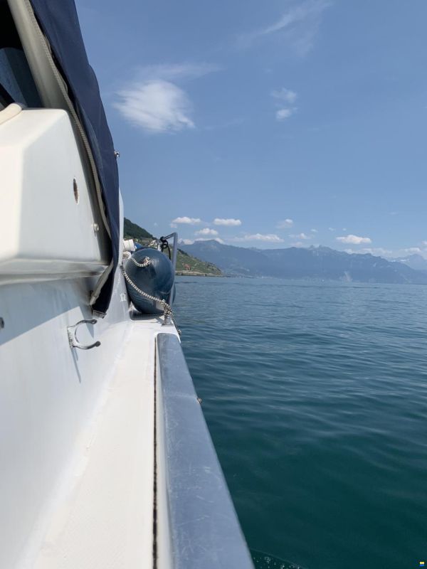 Bayliner Avanti 2950