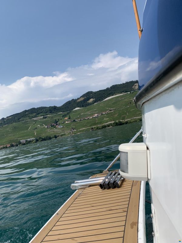 Bayliner Avanti 2950