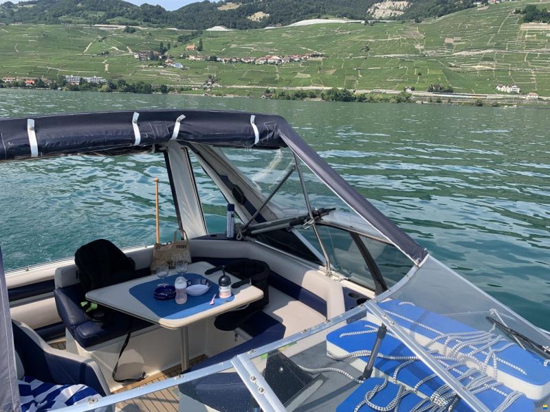 Bayliner Avanti 2950