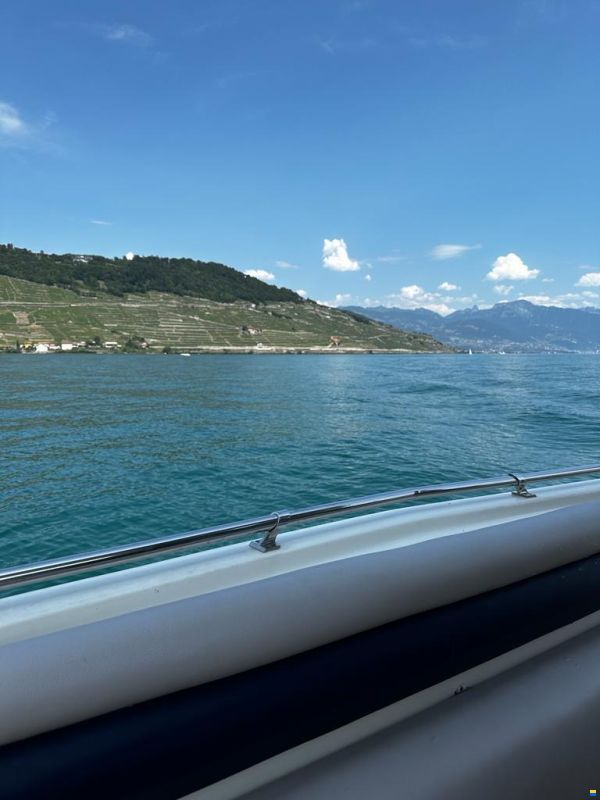 Bayliner Avanti 2950