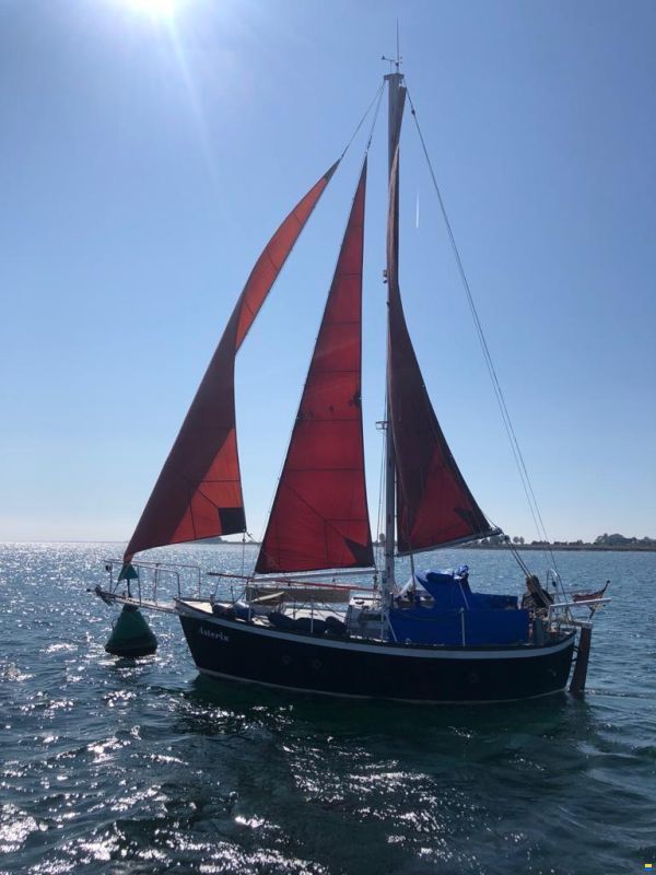 Saaman Brasser 25