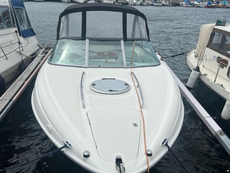 Bayliner Cuddy 802