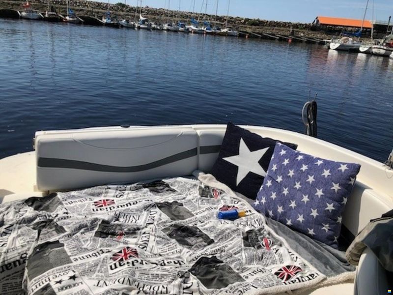 Bayliner Cuddy 802