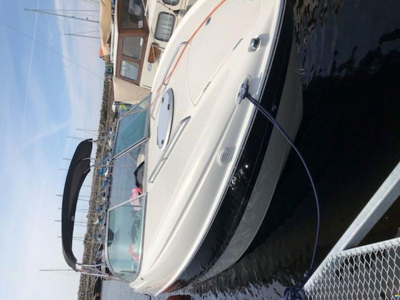 Bayliner Cuddy 802