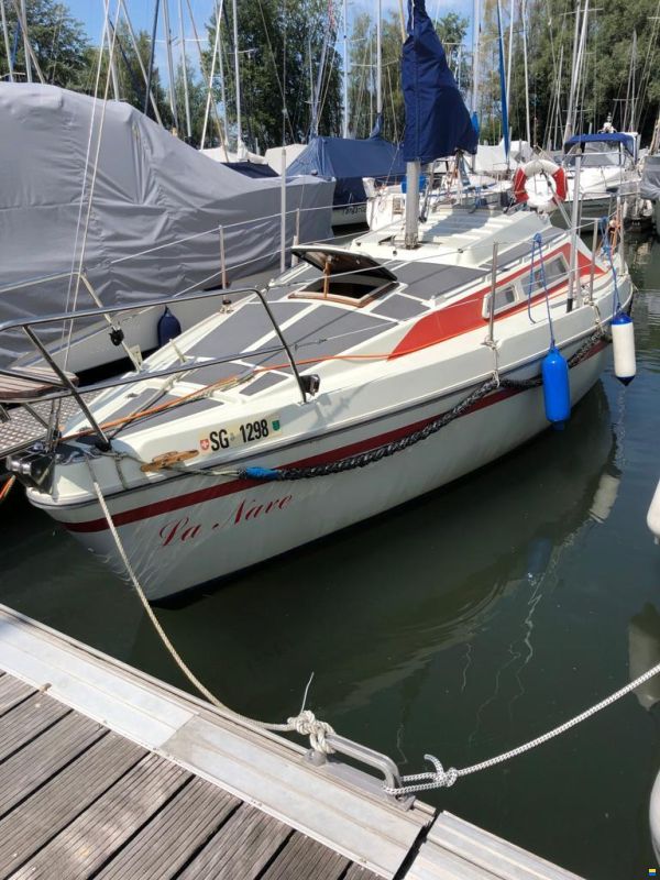 Balaton B 82 Segelyacht zu verkaufen image