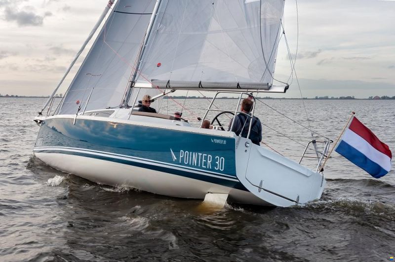 Pointer 30