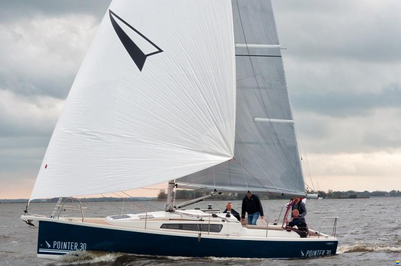 Pointer 30