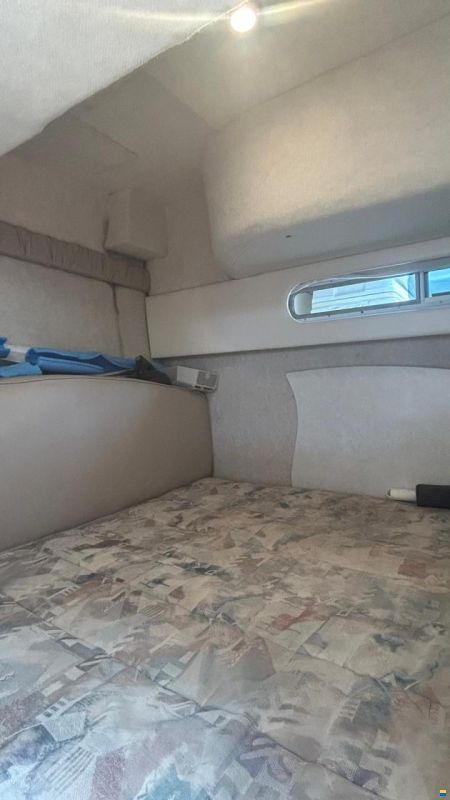Bayliner 3055