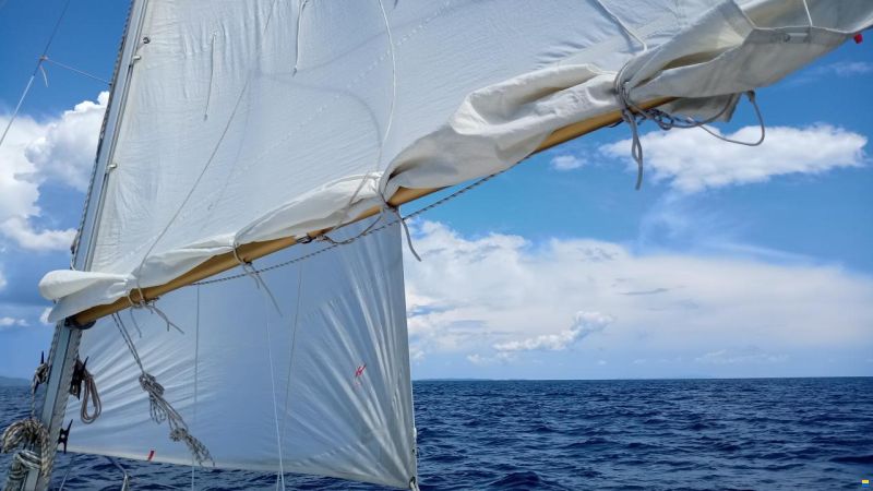 Cobramold Leisure 22