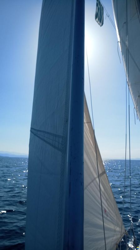 Cobramold Leisure 22