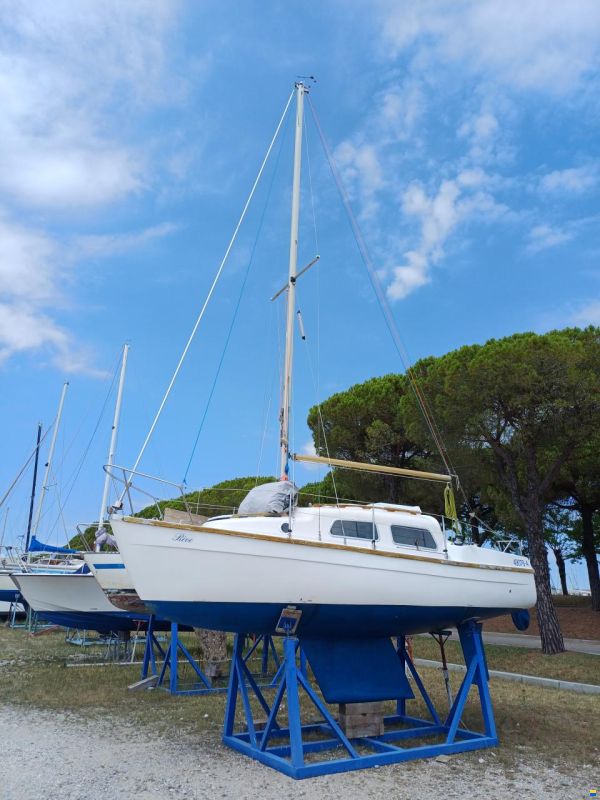 Cobramold Leisure 22
