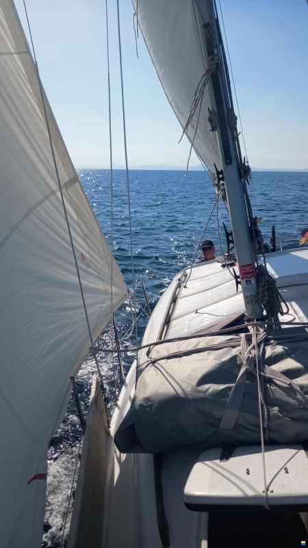Cobramold Leisure 22