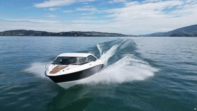 Flipper 650 ST