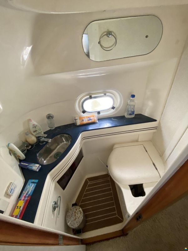 Sealine F43