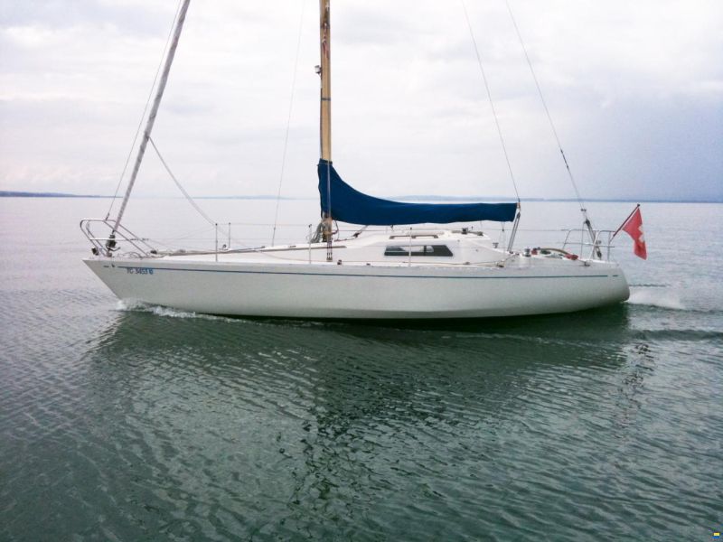 Albin Marine Scampi30 image