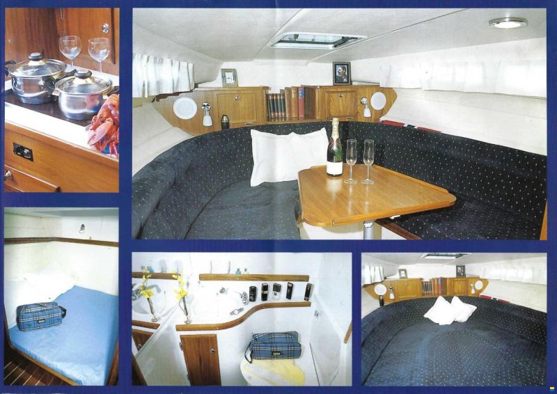 Marex 290 Sun Cruiser