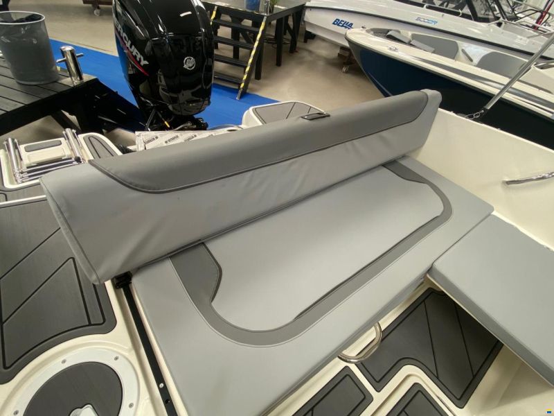 Bayliner M19