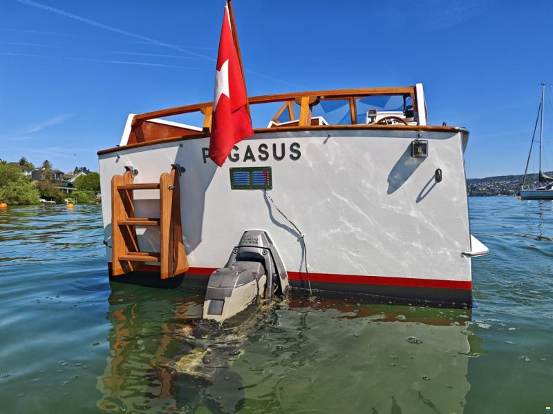 Labhart Pegasus
