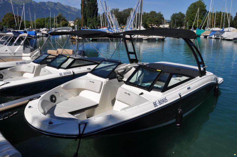 Sea Ray SPX 210 Tower