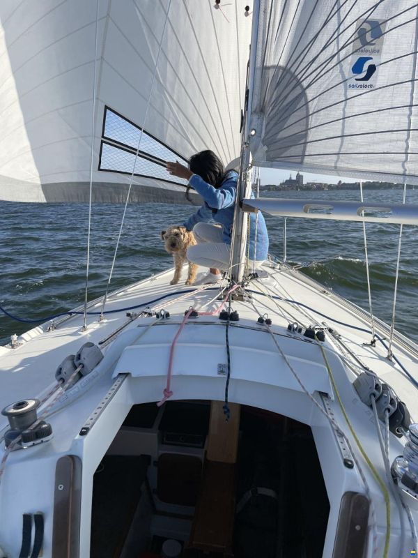 Delphia Sportina 680