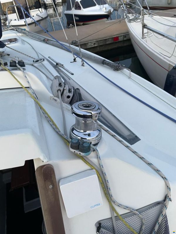 Delphia Sportina 680