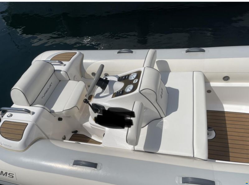 Williams Jet Tender 445