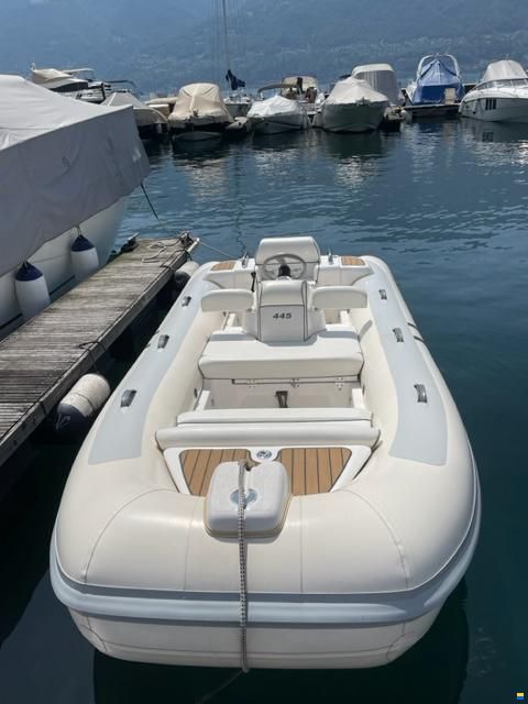 Williams Jet Tender 445