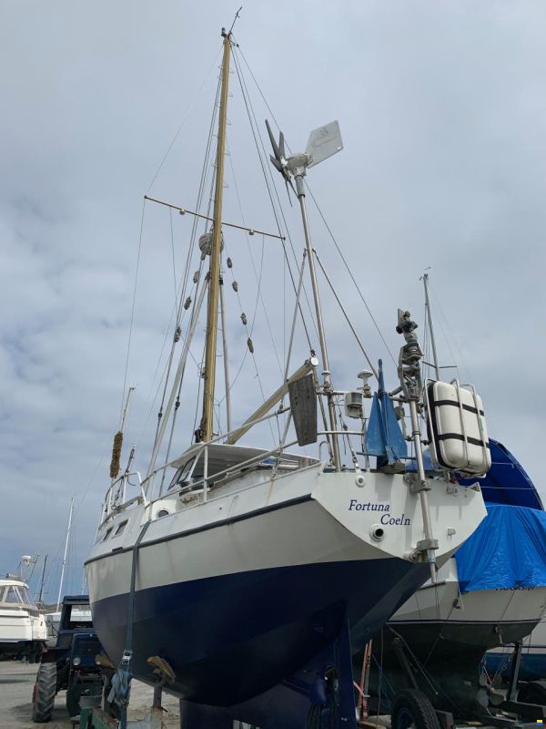 Saaman N Werft Rob T 34