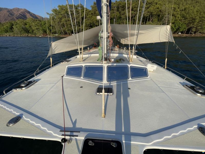 Hedley Nicol Design 40ft Trimaran