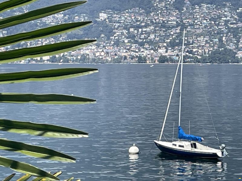 Elvström H-Boot