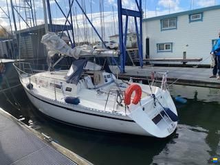 Gib Sea Sea 312